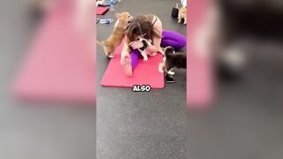 Special Yoga Room .#funny #warming #healing #cute #happy #dogs #shorts #shortvideo