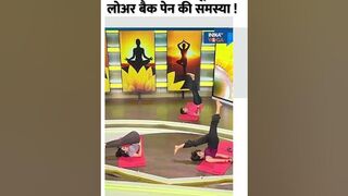 Yoga For Back Pain: आनंद बालासन से दूर होगी लोअर बैक पेन की समस्या ! #shorts #yogatips