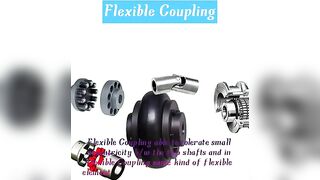 Flexible Coupling//Coupling