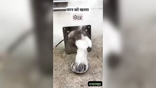 चीन में लचीला सीमेंट क्यों होता है? | flexible cement China |