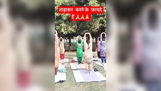 ताड़ासन करने के4 बड़े फ़ायदे#Yoga #daily#Meditation #DailyYoga#Tuesday #youtubeshorts ????????????????️❤️