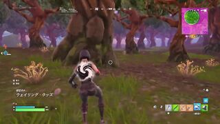 Fortnite Hacker (transparent and wall penetration)