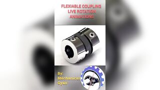 Flexible Coupling/ Jaw Coupling/ Animation/ Work