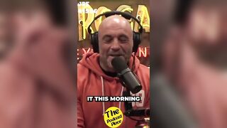 Joe Rogan talking about bikinis ???? #shorts