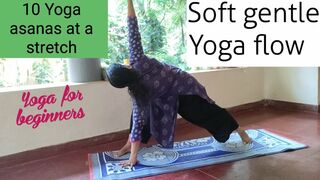 10 basic yoga asanas at a stretch #yoga #Yogaflow #beginnersyoga #travancoreschoolofyoga