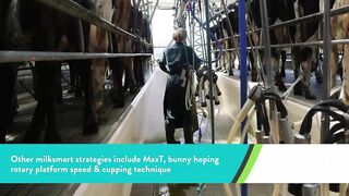 15 years of research: Milksmart and Flexible Milking research