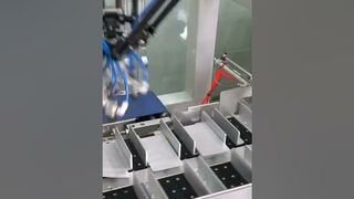 Flexible blister packaging line