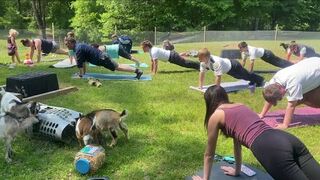 First responders participate in 'Goat Yoga' in Kalamazoo