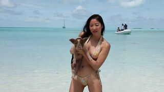 The Exumas, Bahamas: Pigs, Sharks & Bikinis