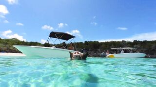 The Exumas, Bahamas: Pigs, Sharks & Bikinis