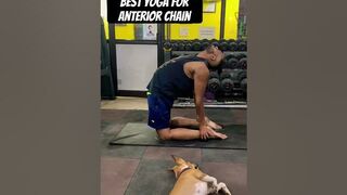 Best Yoga For Anterior Chain | #coachhimanshu #yoga #yogapose #stretching #flexibility #fitness #gym