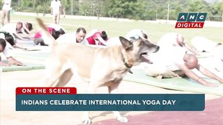 LOOK: Indians mark International Yoga Day on aircraft carriers, trains, swimming pools! | ANC