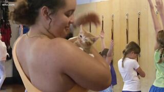 Kitty yoga classes raise money for cat rescue group