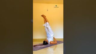 Shoulder Stand Yoga Pose #yogaurmi #yogaposes #yogawithurmipandya #yoga #yogaasana #urmiyogaacademy