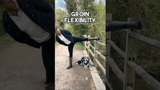 Mobility - No need for post stretching ???? #flexibility #flexibilitytraining #dogs