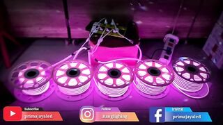 LED Neon Flexible Pink 220V Outdoor