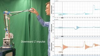 Noncollocated Proprioceptive Sensing for Lightweight Flexible Robotic Manipulators