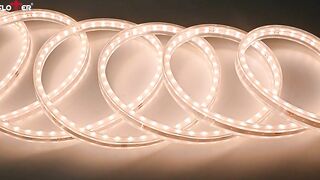 Product Display—Integrated Flexible LED Soft Light Strip for IP68 Outdoor Advertising#lightstrip