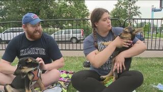 Canalside held a puppy yoga class with Buffalo Underdogs rescue