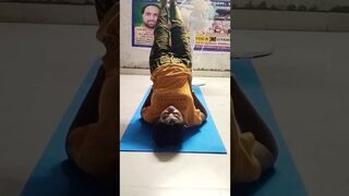 #yoga #asanas #spine #gyanviyoga #sadhakvipinyogacharya #shorts #youtubeshorts @Gyanviyoga