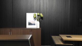 WOODFLEX Flexible Acoustic Wood Slat Wall & Ceiling Panels