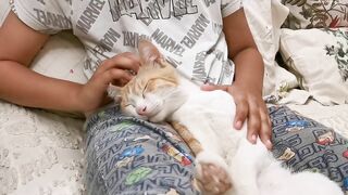 Stretching my ginger cat | Milothefurball