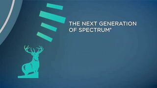 The Next Generation of Spectrum - More Flexible Stretch | The Hartford