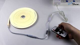 Flexible LED Neon Strip Light Multi Modes Remote Control Dimmable