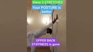 Stretches for back pain #posture #back #sitting #backpain #stretching #trending #viral #youtube #you