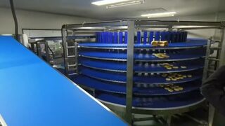 flexible spiral conveyor,Buffer Cooling Tower/Spiral Conveyors / Elevators