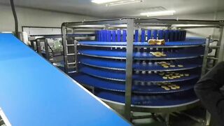 flexible spiral conveyor,Buffer Cooling Tower/Spiral Conveyors / Elevators