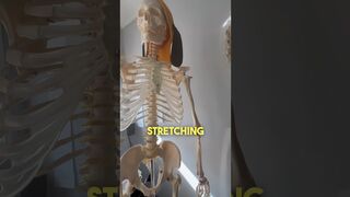 Stop stretching your shoulder #gym #benchpress #fitness #physiotherapy #shoulder #pain #shorts