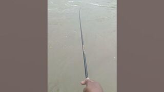 Fishing rod???? flexible######fishingvideo