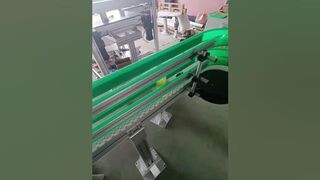 Flexible chain conveyor