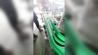 Flexible chain conveyor