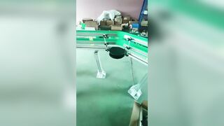 Flexible chain conveyor