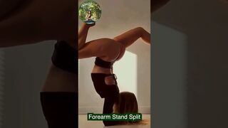 Morning Yoga Stretching Forearm Stand Split #shorts