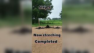 Easy Stretching #martialarts #kungfu #youtubeshorts #girl #youtube ????????