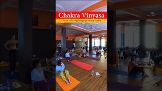 Chakra Vinyasa || Ashtanga Yoga primary Series || #yoga #shorts