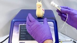 Flexible In Vivo Electroporation - Demo | BTX