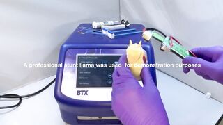 Flexible In Vivo Electroporation - Demo | BTX