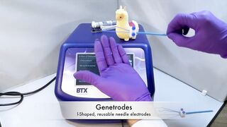 Flexible In Vivo Electroporation - Demo | BTX