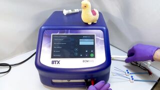 Flexible In Vivo Electroporation - Demo | BTX