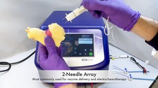 Flexible In Vivo Electroporation - Demo | BTX