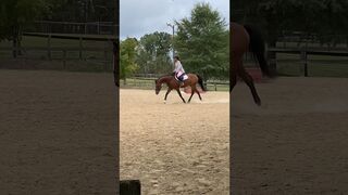 neck stretches for the winnn???? #equestrian