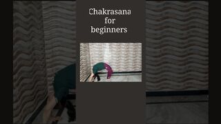 Chakrasana for beginners #yoga #yogashorts #youtubeshorts #shorts