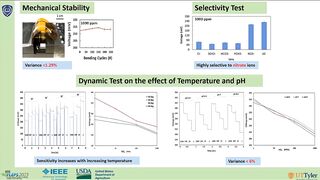 A Low-Cost, Flexible Electrochemical Sensor for Nitrate Detection in Water