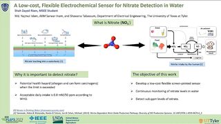 A Low-Cost, Flexible Electrochemical Sensor for Nitrate Detection in Water