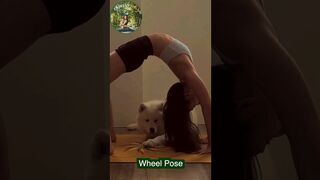 Flexible Yoga Stretching Wheel Pose #shorts