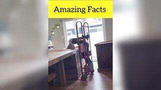 Yoga of the year Amazing video are bright ???? | Amazing Facts | @CrazyXYZ #shorts